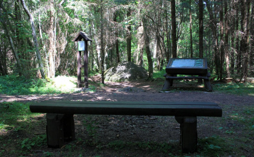 5_Tyrelio akmuo (3).jpg